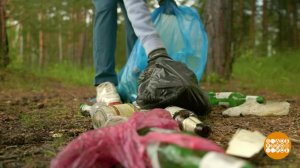 Отдыхаем! Но не мусорим... Доброе утро. Фрагмент выпуска от 11.06.2026