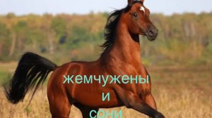 тренировка 🏇🏽