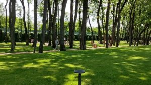 Процесс, марафон, прогулка в парке Галицкого, моя Пузатенька 🥰