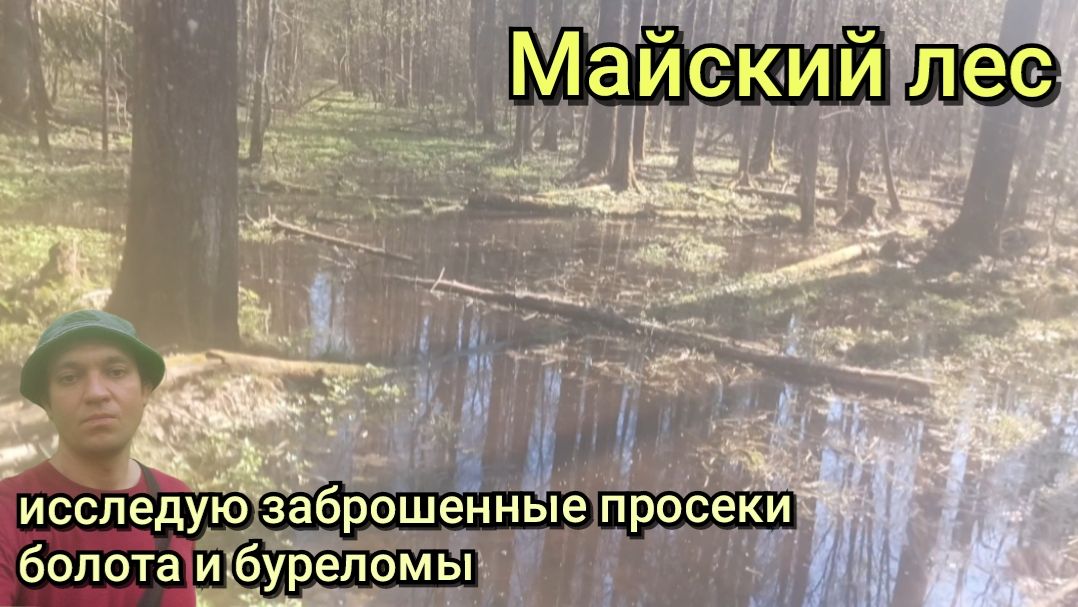 Исследую заброшенные просеки/Болота и буреломы на пути/Продолжение/Поход 7.05.26 смотреть онлайн