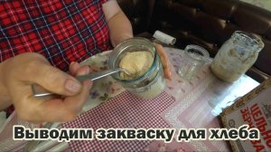Как приготовить закваску для хлеба из пшеничной муки