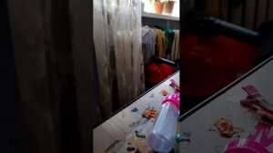 зачем говорим мы в тишине для яего же это нужно мне почему помидоры дорогие