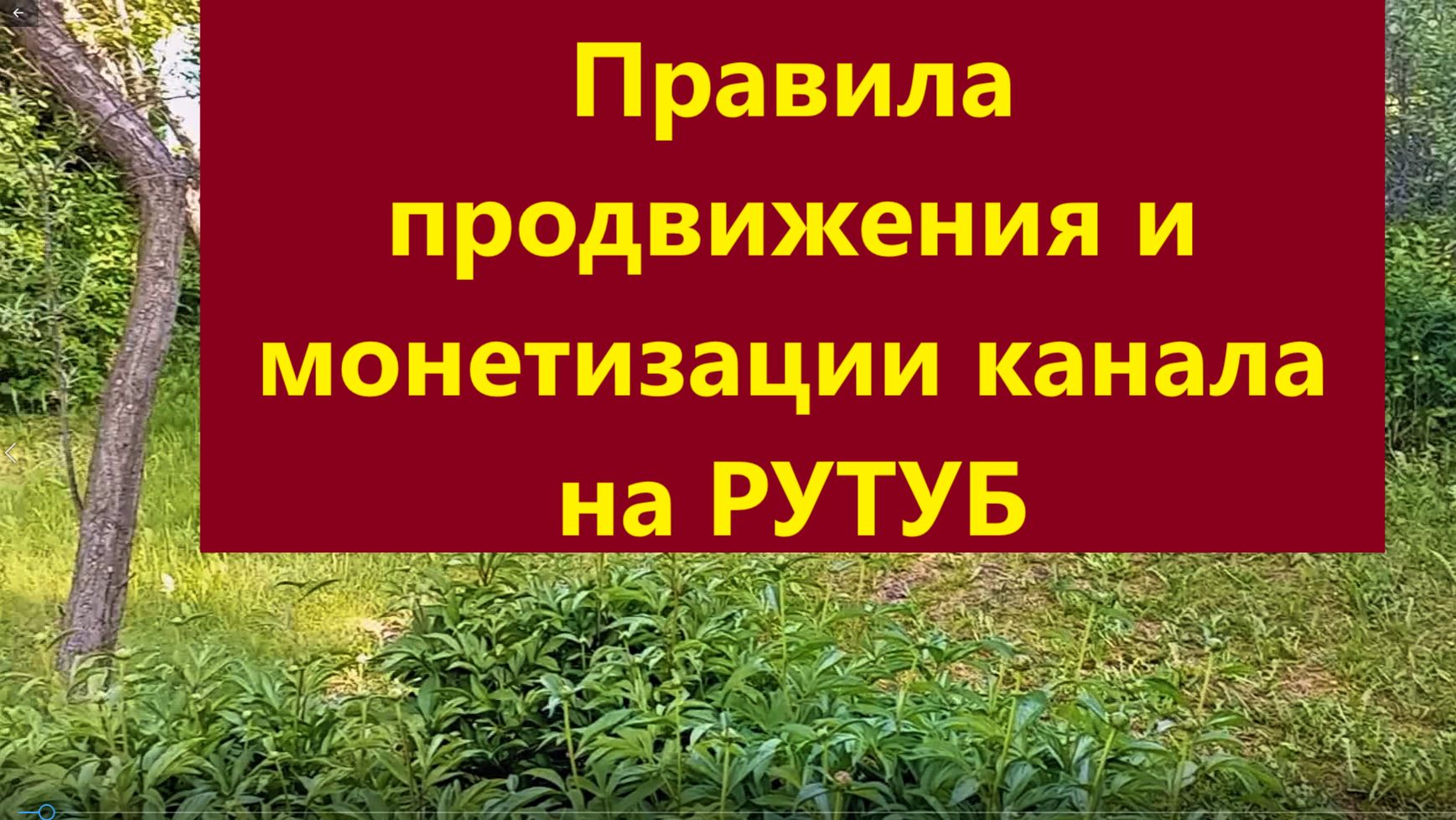Продвижение и монетизация канала на РУТУБ