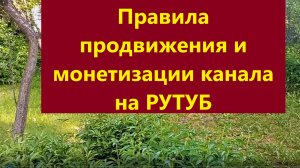 Продвижение и монетизация канала на РУТУБ
