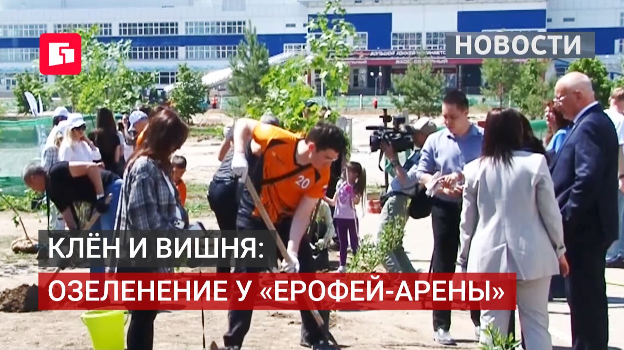 Клён и вишня украсят сквер у «Ерофей-арены» в Хабаровске. 11/06/2026.