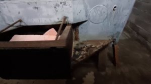 Корпус Аиста