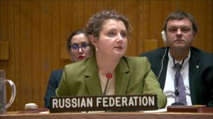 Зам. постоянного представителя А.М.Евстигнеевой в СБ ООН по положению в Афганистане, 8 июня 2026