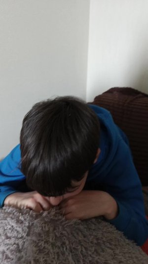 играем в котов с другом