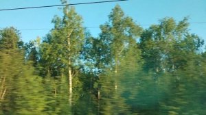 1. из окна поезад (2)