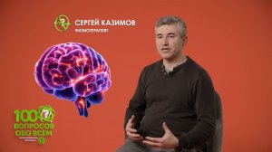 Фрагмент передачи «100 вопросов обо всём» на РенТВ от 09.06.2026 о работе мозга человека.