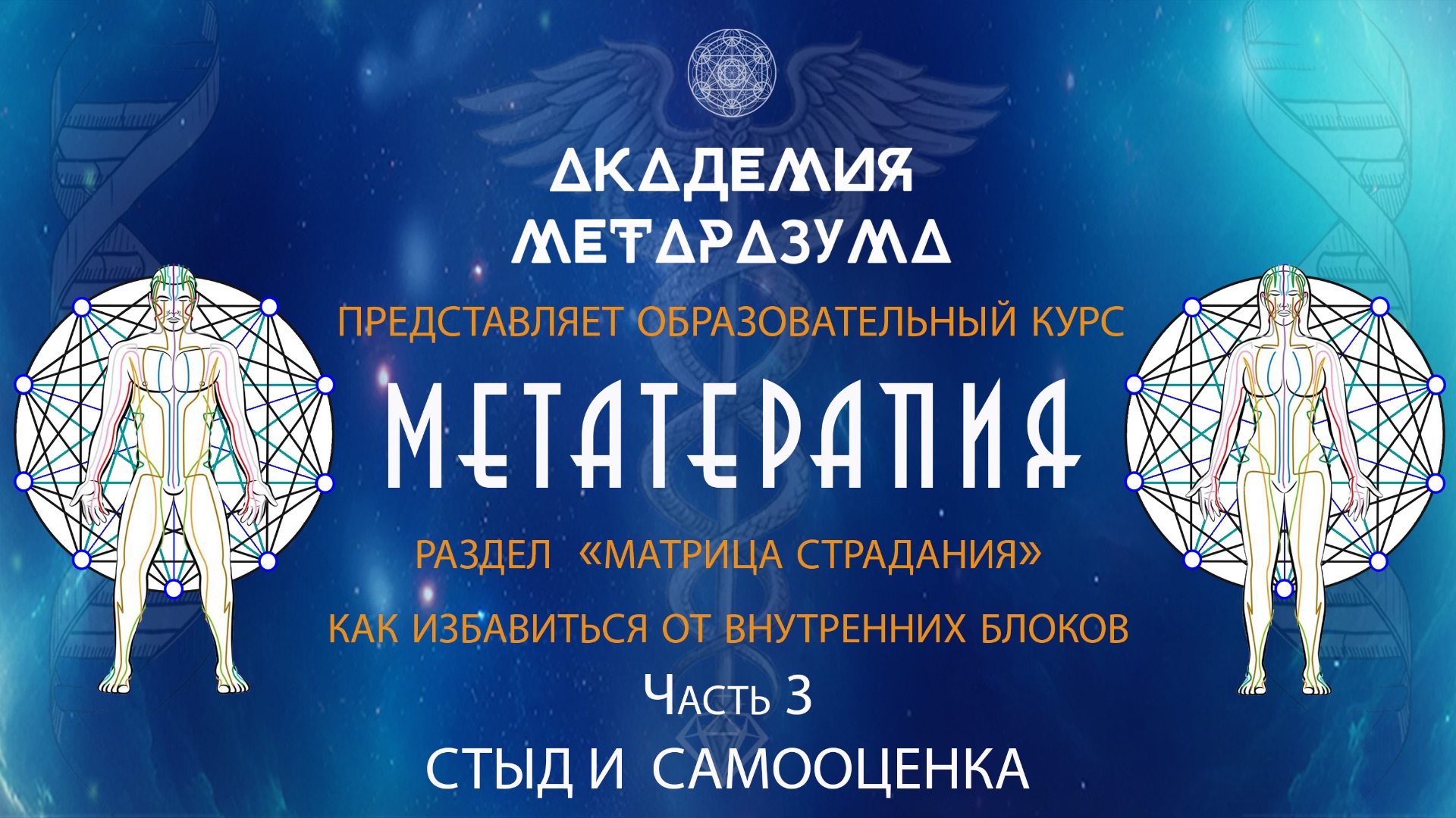СТЫД И САМОЦЕНКА (МАТРИЦА СТРАДАНИЯ)