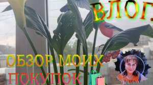 ОБЗОР МОИХ ПОКУПОК 🛍️. МОЯ «БОЛЬНАЯ» КОШКА 🐱 😉.ЗООПАРК НА ЗАВОДЕ 🏭 😅