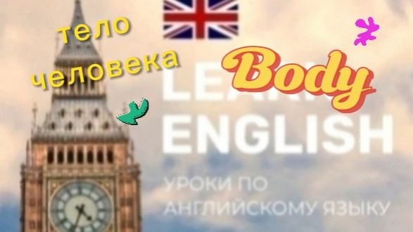 Английский язык. Тело человека,body