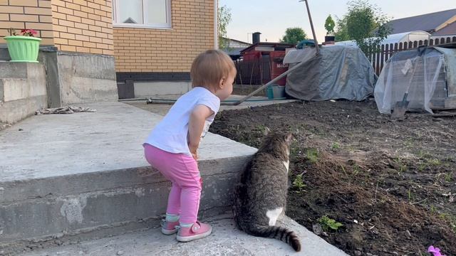 Поехали в гости на дачу, жарить шашлыки. Заводить домашнее животное или нет?