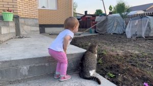 Поехали в гости на дачу, жарить шашлыки. Заводить домашнее животное или нет?