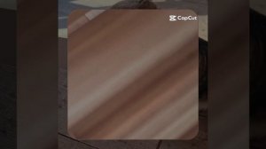 1000061649.mp4 (Собака наблюдает за укладкой пола из листов фанеры на 2-ом этаже в доме А-фрейм)