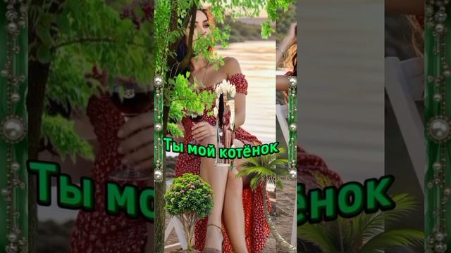 Ты мой котёнок... ❤️ смотреть онлайн