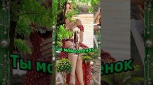 Ты мой котёнок... ❤️