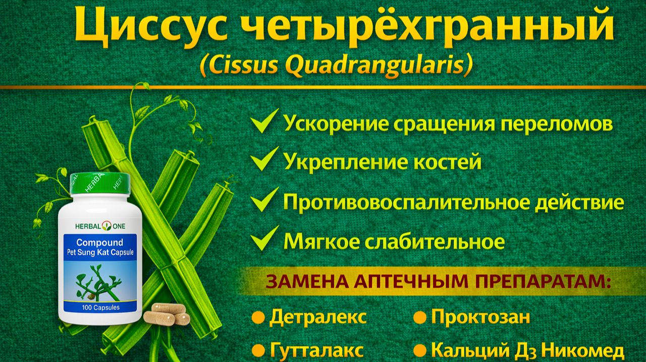 Циссус микстура (Cissus Quadrangularis Compound) капсулы