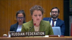 Ответное слово А.М.Евстигнеевой представителю Великобритании на заседании СБ ООН по Украине, 8 июня