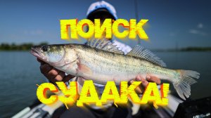 СУДАК на ДЖИГ на реке! Открытие сезона рыбалок на лодке с мотором  💪