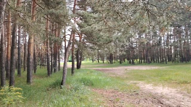 Увольнение с работы без проблем