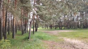 Увольнение с работы без проблем