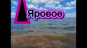 Я ПОЕДУ В ЯРОВОЕ (алтайский край)