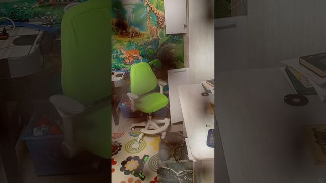 поставил скрытную камеру, чтобы проследить за братом смотреть онлайн