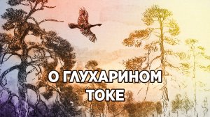 О глухарином токе