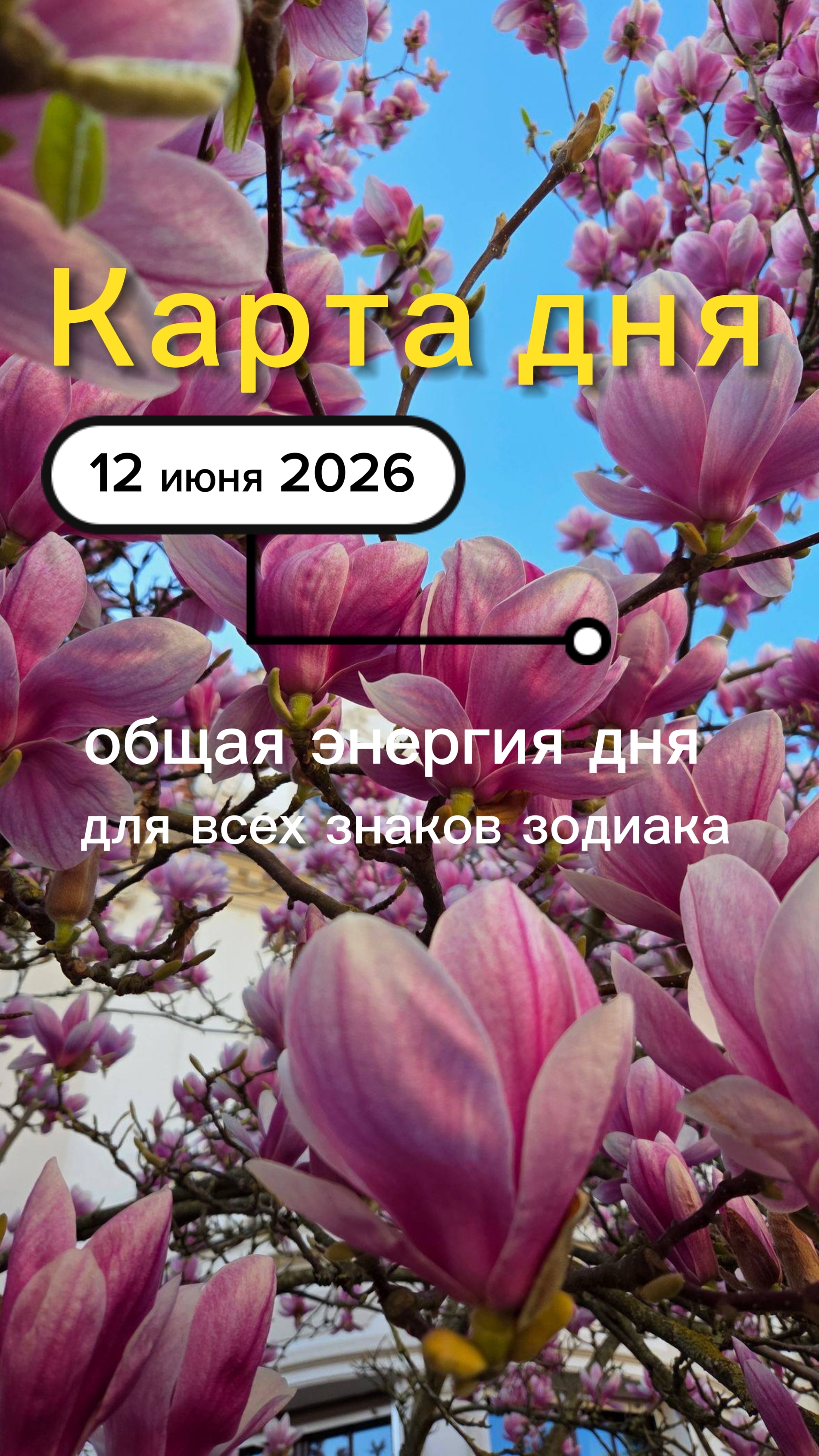 Карта общего фона на 12-06-2026. Пятница