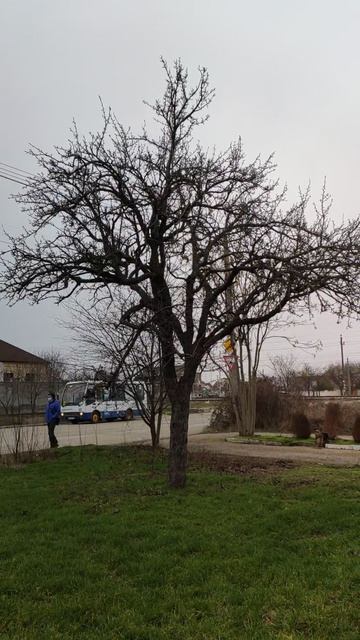 Вот такой день в городе Евпатория | 11 января 2022 | Крым ХАН БАТОН XAH 6ATOH | VID_20220111_145207