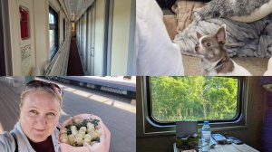 Поехала к сыну на ДР/ красивый с цветами/ за окном автобуса/ облаяла собака/ невредные пироженки