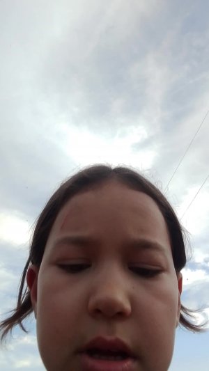 стант на велеки