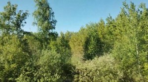 3. Под Омском
