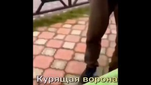 Доброе утро!