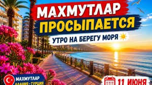 11 июня 🌞 МАХМУТЛАР ПРОСЫПАЕТСЯ. 🌊УТРО НА БЕРЕГУ МОРЯ . Турция 2026.