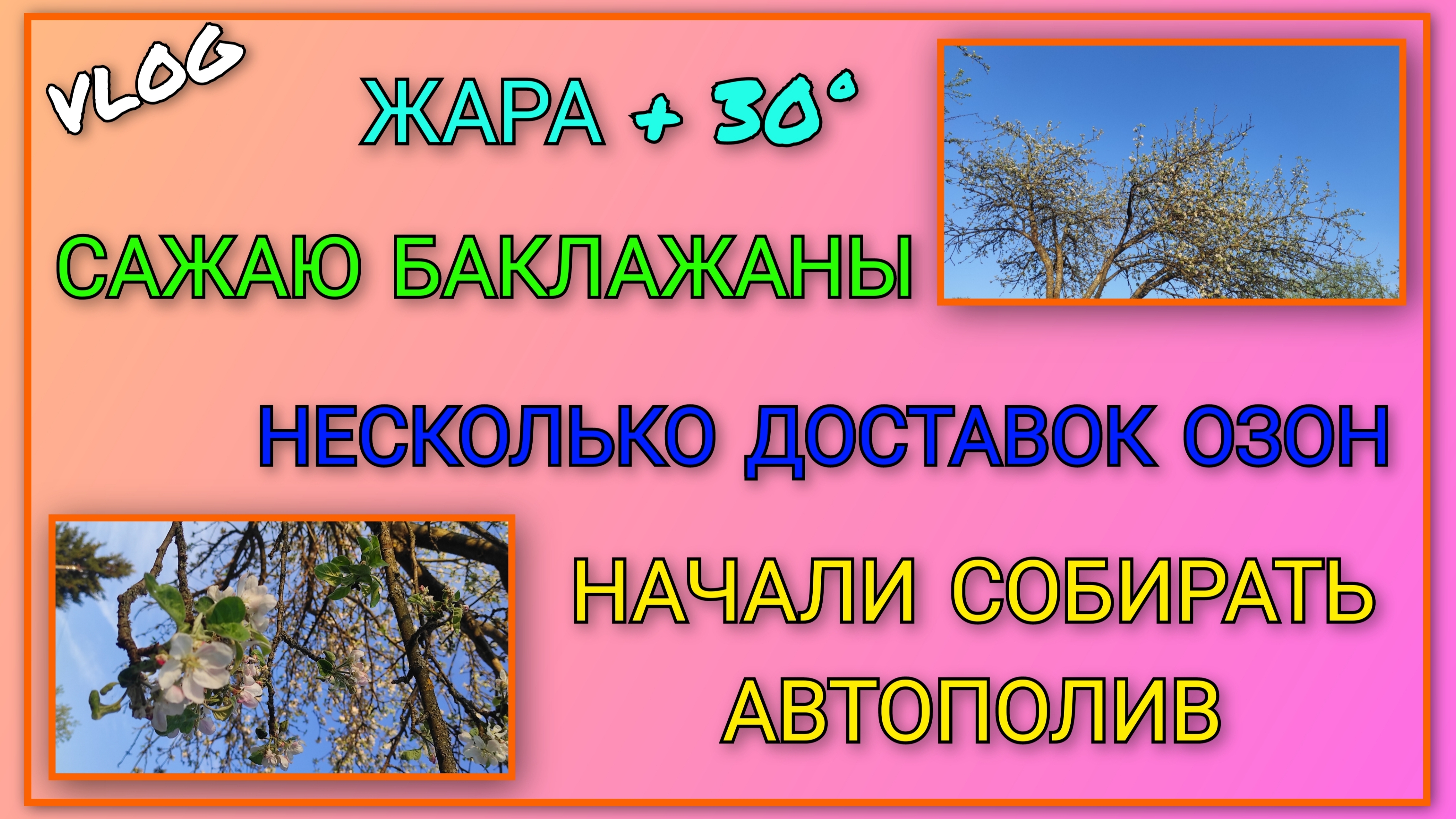 🍒 VLOG: Жара +30°/ Сажаю баклажаны/ Несколько доставок Озон/ Начали собирать автополив