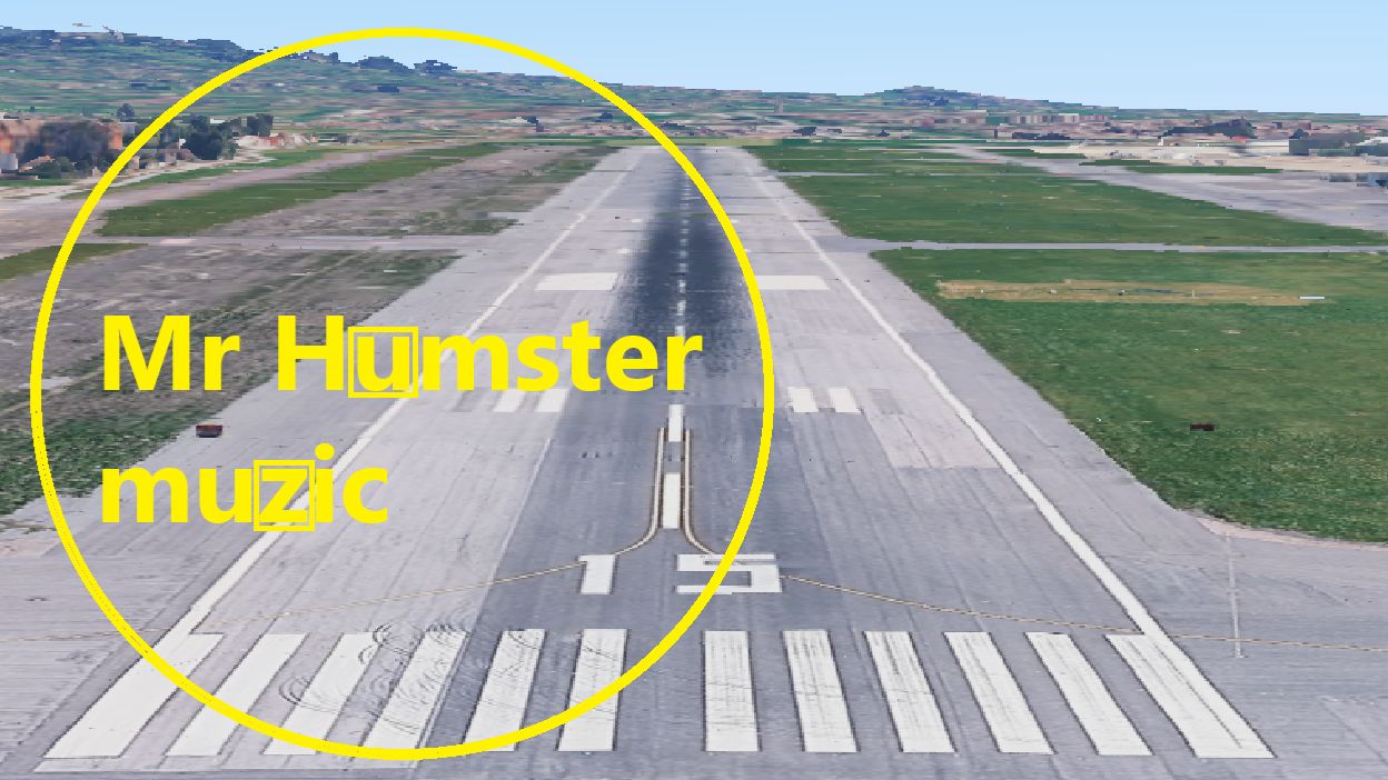 Mr Humster muzic / runway