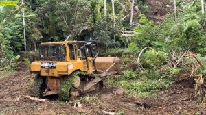 Расчистка буша на новых участках под строительство бульдозером САТ D6R XL