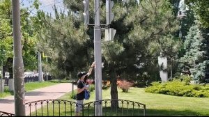 🔥РАСКЛЕЙКА ОБЪЯВЛЕНИЙ В НЕУСТАНОВЛЕННЫХ МЕСТАХ, И БЕСПОЛЕЗНАЯ ПОЛИЦИЯ БЕЗДЕЙСТВУЕТ 🔥