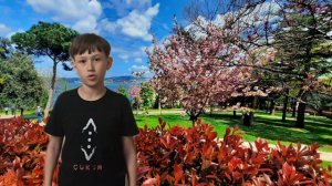 Стамбул. Часть 1 #Чукур #история Стамбула #интересное о Стамбуле