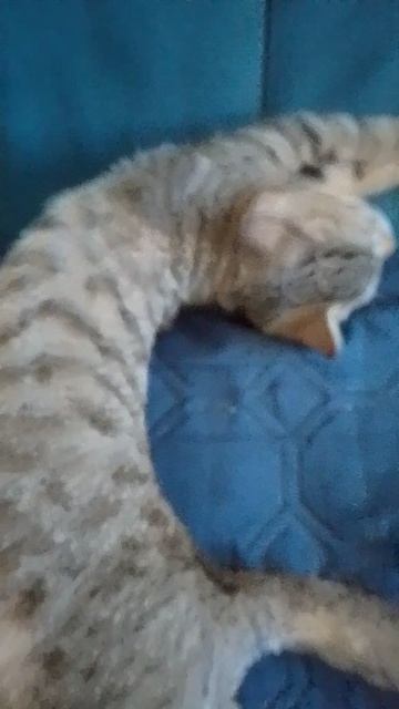 Стёпе 3 месяца❤ смотреть онлайн