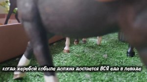 ха