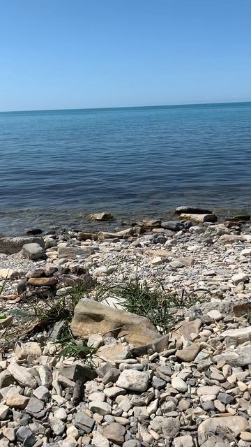 Украина дроны летрасляторы