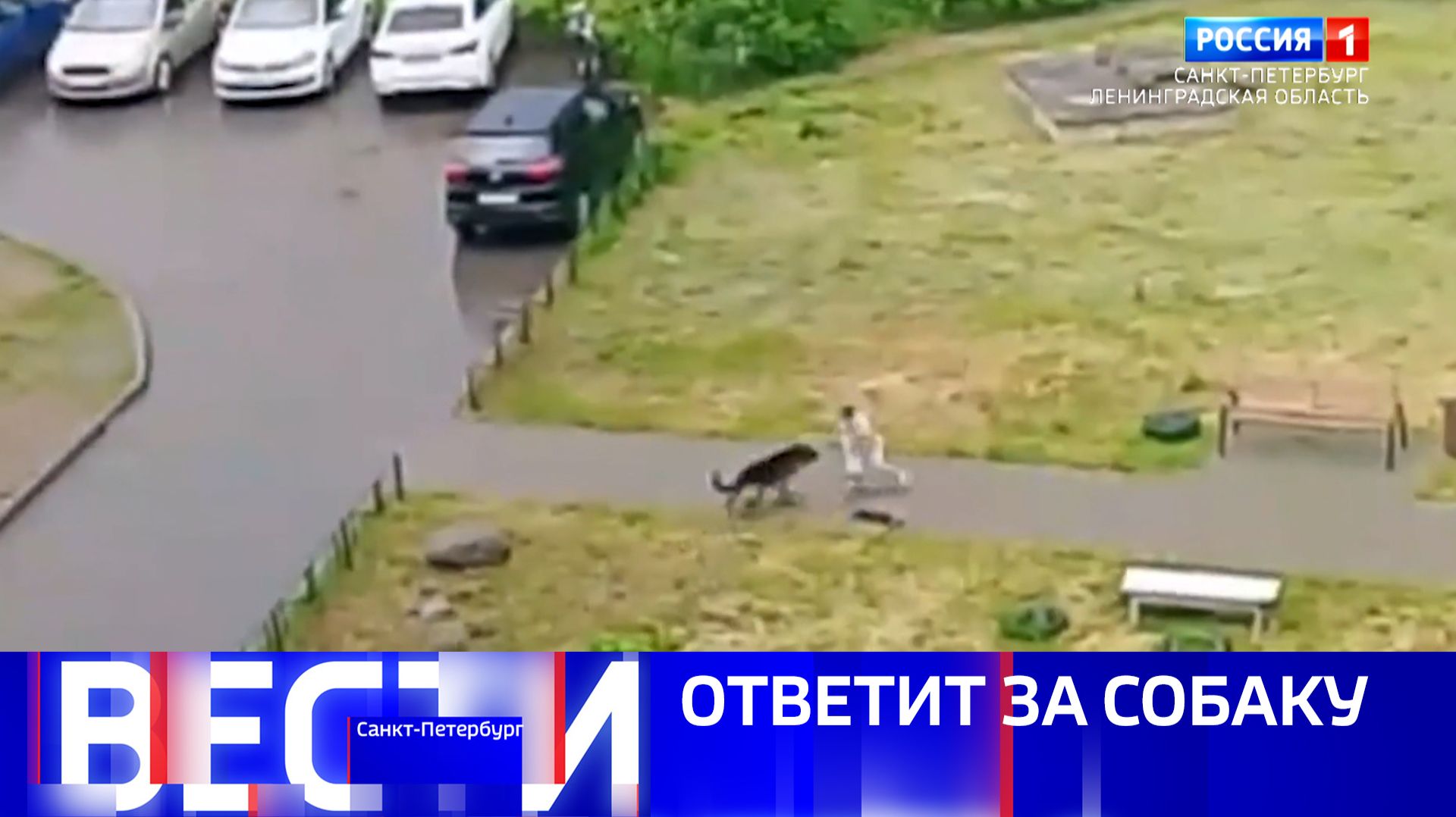 Вести Санкт-Петербург. Выпуск 09.30 от 11.06.2026 смотреть онлайн