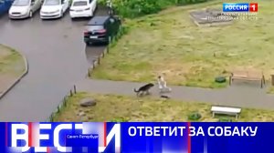 Вести Санкт-Петербург. Выпуск 09.30 от 11.06.2026