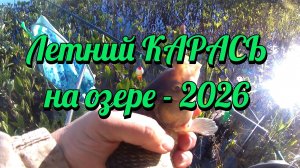 Летний карась на озере - 2026