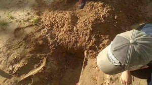 VID_20260610_175812.mp4