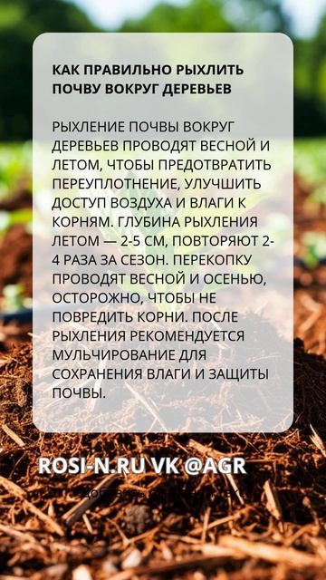 Как правильно рыхлить почву вокруг деревьев